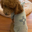 Load image into Gallery viewer, New Mexico Zia Dog Hoodie