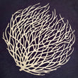 Load image into Gallery viewer, Tumbleweed Tee