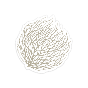 Tumbleweed Sticker